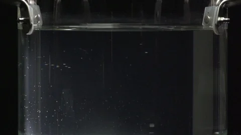 Onions and celery Stock Footage 101557607