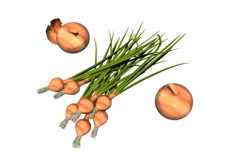 Onions and chives in the kitchen Stock Illustration