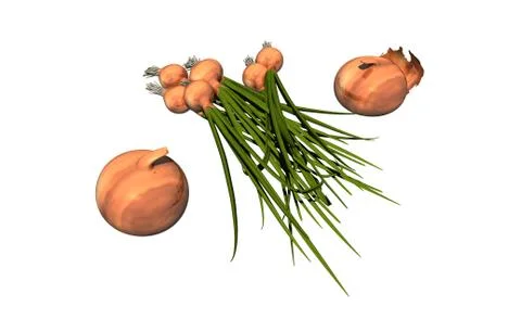 Onions and chives in the kitchen Stock Illustration