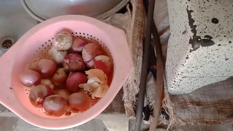 Onions and Garlic Placed in a Basket Video stock 346746787