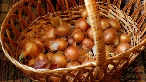 Onions are loaded into a wicker basket Stock Footage 82582509