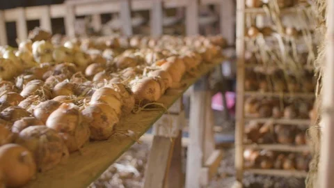 Onions arranged in open racks Stock Footage 87804026