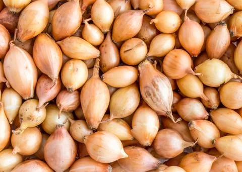 The Onions background. Foto stock