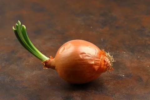Onions on a black background Stock Photos
