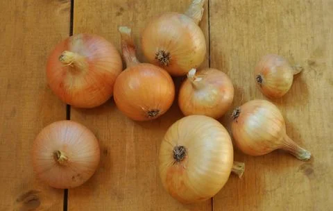 Onions on boards Stock Photos