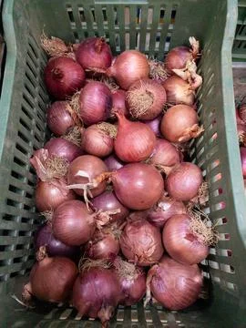 Onions in the box Stock Photos