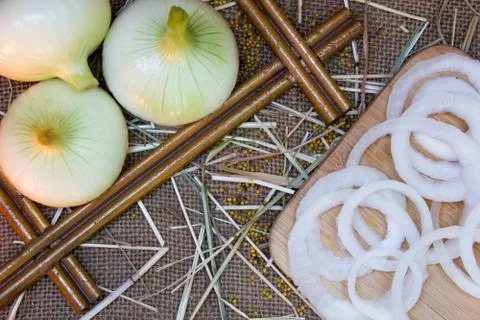 Onions on a burlap background Stock Photos