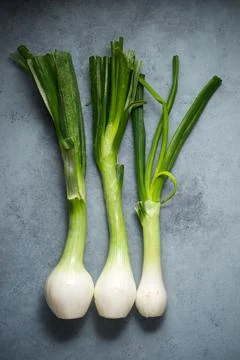 Onions close up Fotos de archivo