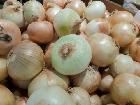 Onions for cooking Stock Photos