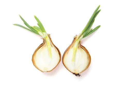 Onions, cut in half Stock Photos