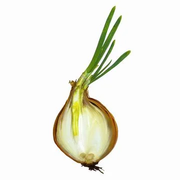 Onions, cut in half Stock Photos