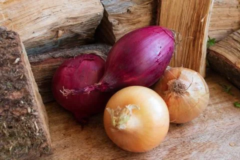 Onions on a cutting board Stock Photos