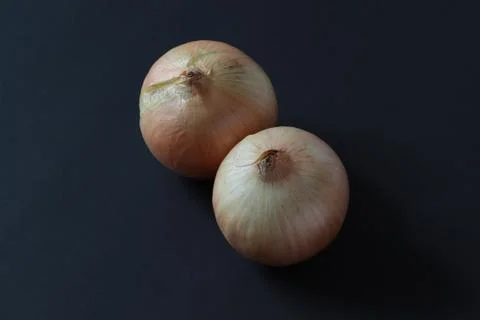 Onions on a dark background isolate Stock Photos