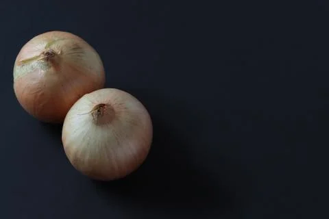 Onions on a dark background isolate Stock Photos