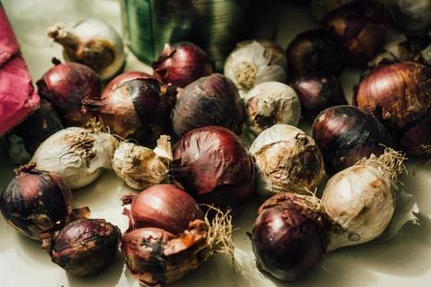Onions droped on a table. Stock Photos