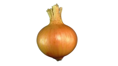 Onions Video stock 81676636