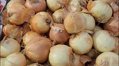 Onions Stock Footage 218468547