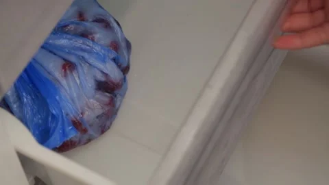 ONIONS IN THE FREEZER Stock Footage 155653497