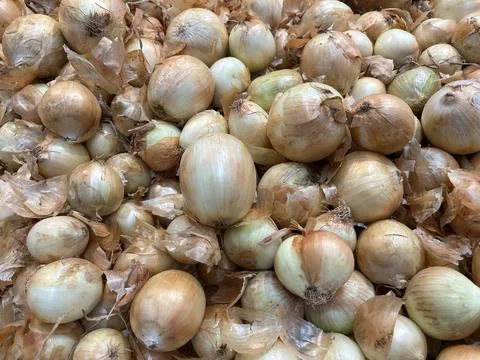 Onions In The Grocery Section Stock-Fotos