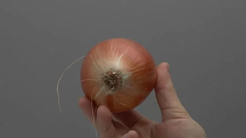 Onions in hand on a gray background. Видео 265760674