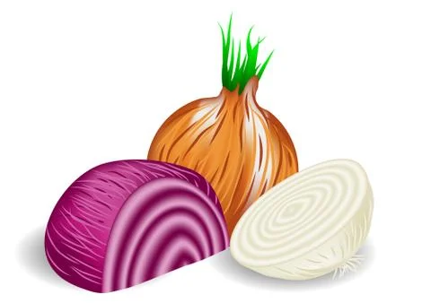 Onions Stock Illustration