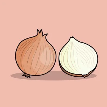 Onions Stock Illustration