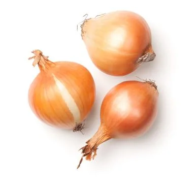 Onions Isolated on White Background Stock Photos