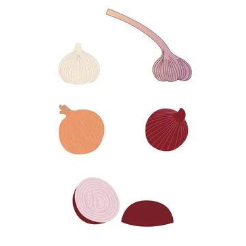 Onions isolated on white 스톡 일러스트
