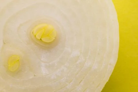 Onions macro on a yellow background Stock Photos