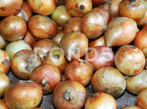 Onions at the market Stock Photos
