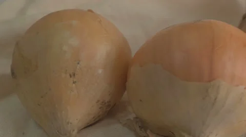 Onions napiform Stock Footage 43225582