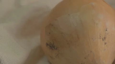 Onions napiform Stock Footage 43810927