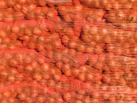 Onions in netting Stock Photos