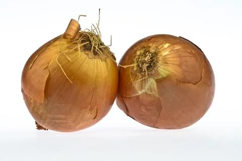 Onions one Photos