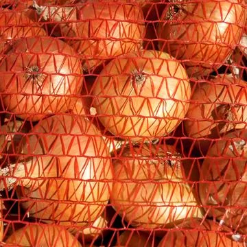 Onions in orange mesh Stock Photos