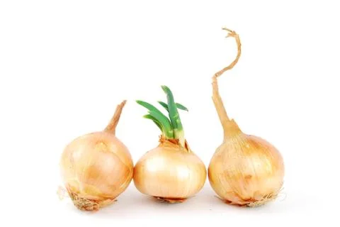 Onions Stock Photos