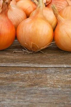 Onions Stock Photos