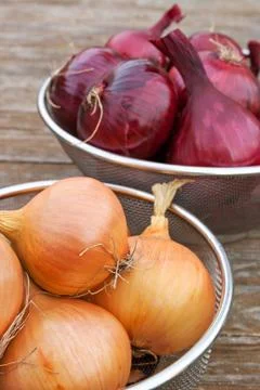 Onions Stock Photos
