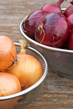 Onions Stock Photos