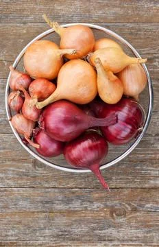 Onions Foto stock