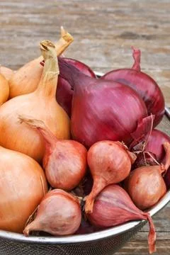 Onions Stock Photos