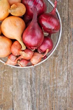 Onions Stock Photos
