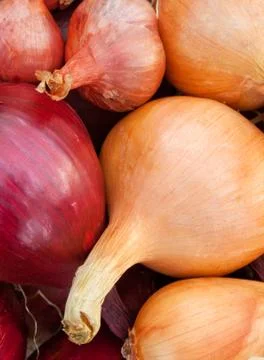 Onions Stock Photos