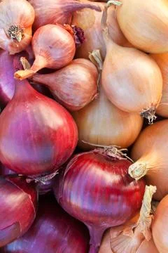 Onions Foto stock
