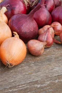 Onions Stock Photos