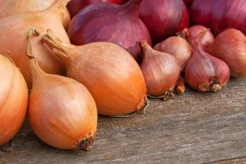 Onions Stock Photos
