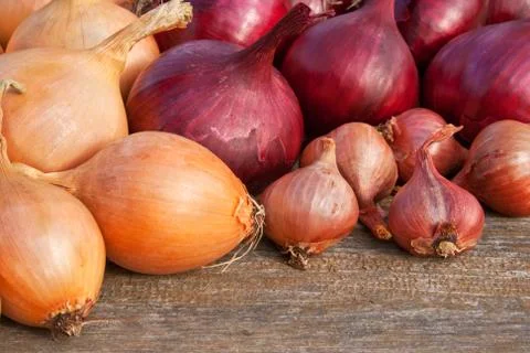 Onions Stock Photos