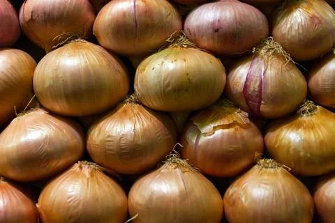 Onions Stock Photos