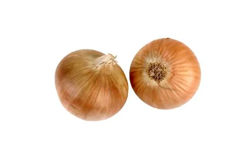 Onions Stock Photos