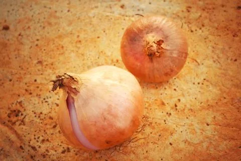 Onions Foto stock